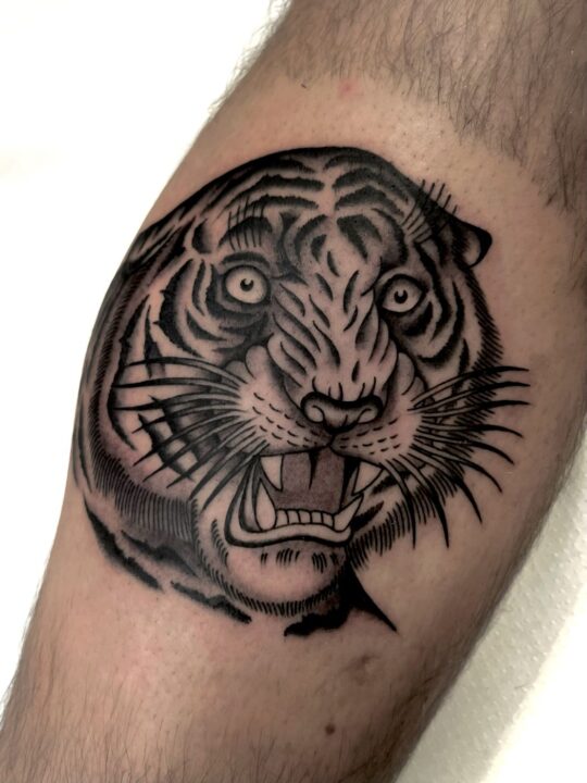 Cabeza de tigre rugiendo con las fauces abiertas, tatuada en la pierna en negro y gris.