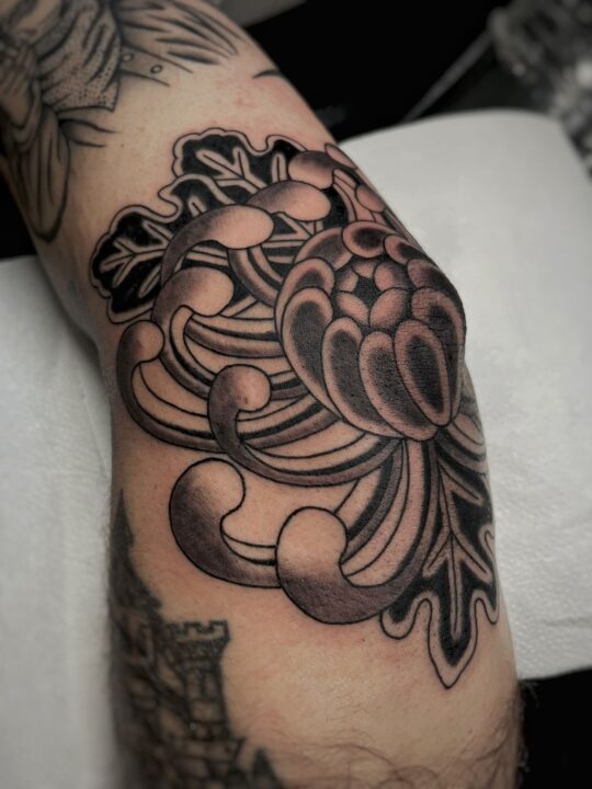 Crisantemo de pétalos curvados con hojas, tatuado sobre el codo en negro y gris.